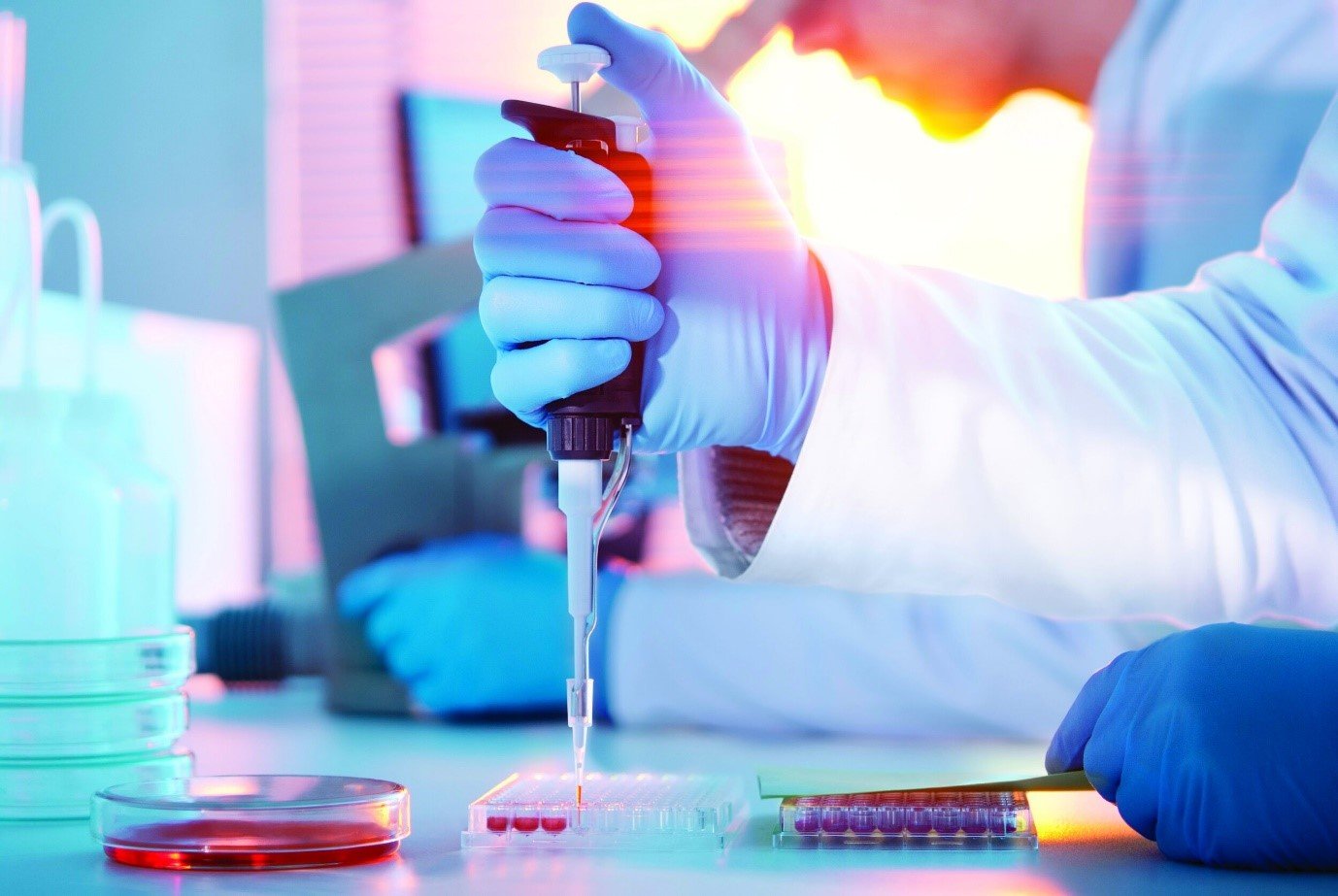 Image Source : Public Domain