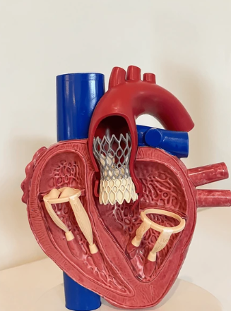 image credit- shutterstock