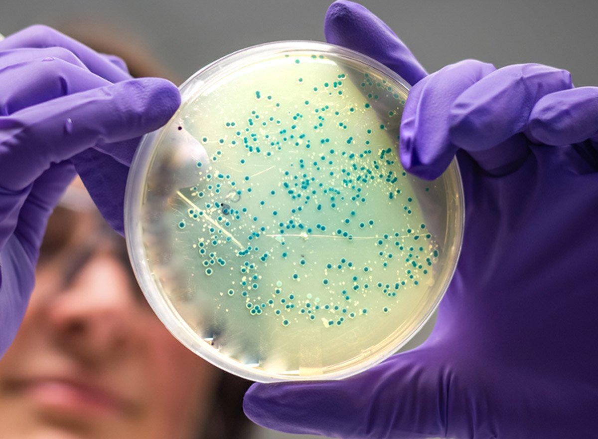 image credit- shutterstock