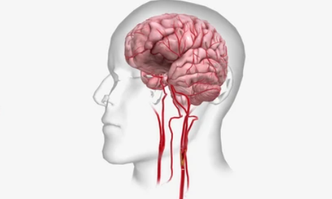 image credit- shutterstock