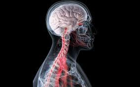 Picture Credit | World Wide Web