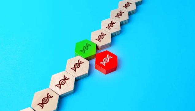 image credit- shutterstock