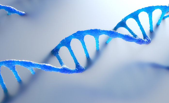 image credit- shutterstock