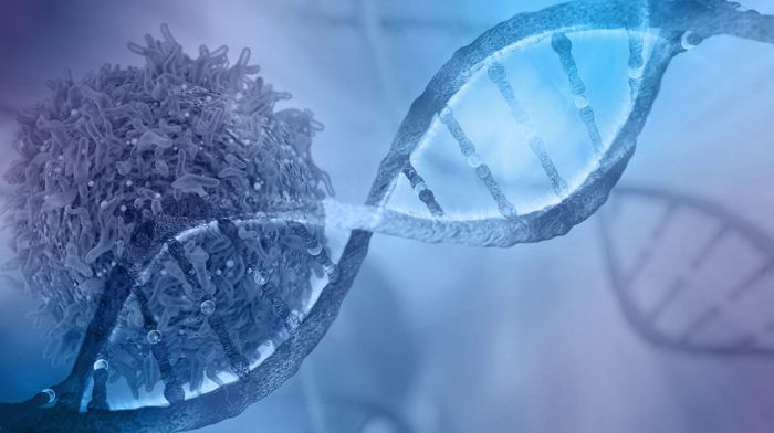 image credit- shutterstock