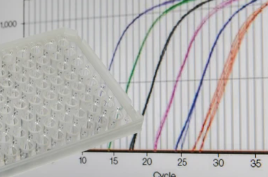 image credit- shutterstock