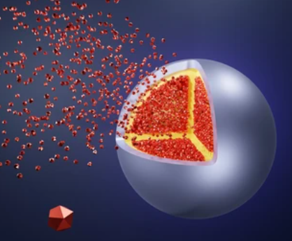 image credits: shutterstock