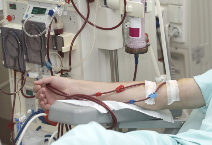 image credit- shutterstock