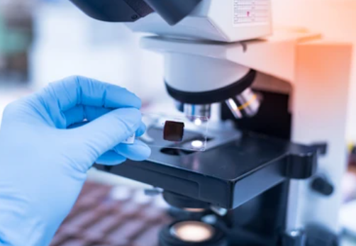 image credit- shutterstock