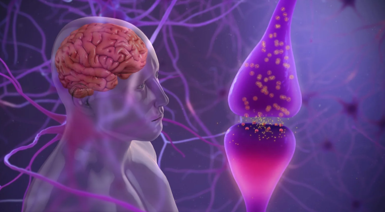 image credit- shutterstock