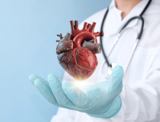 image credit- shutterstock