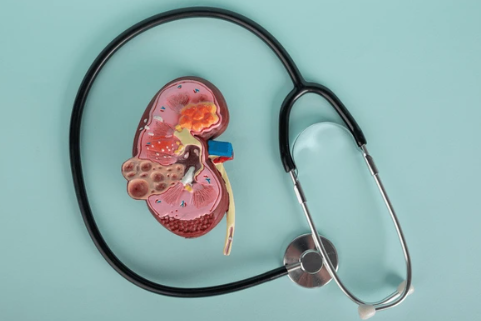 image credit- shutterstock