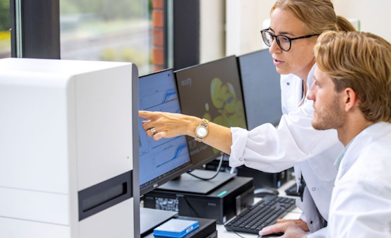 Image credit: shutterstock