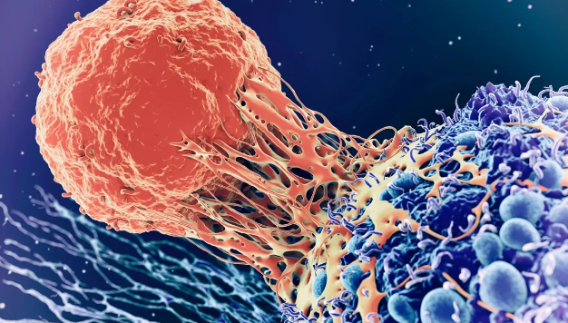 image credit- shutterstock