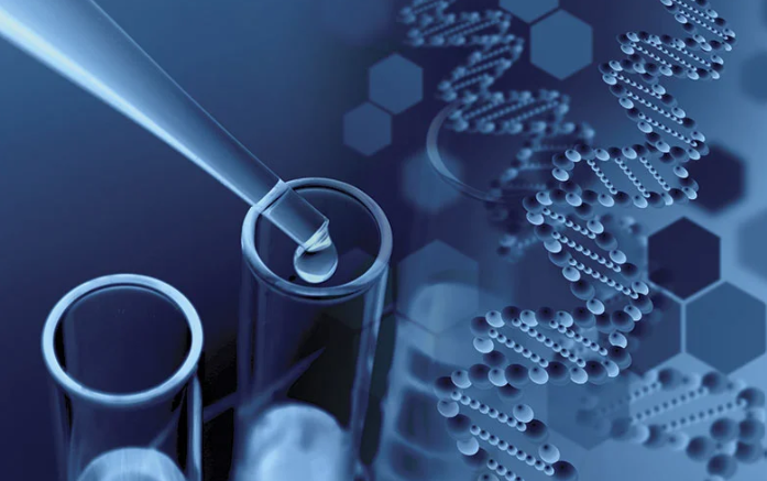 image credit- shutterstock