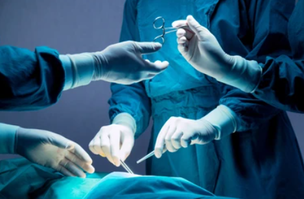 image credit- shutterstock