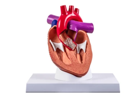 image credit- shutterstock